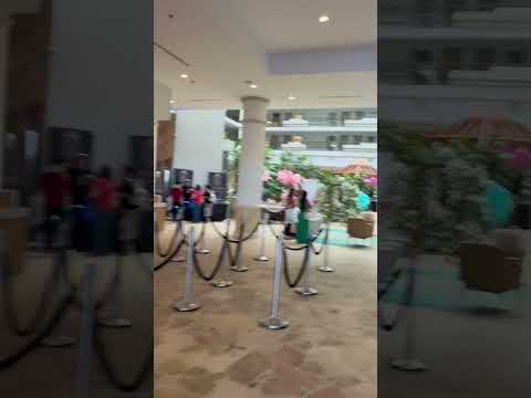 Cuban Salsa Casino Social Dancing