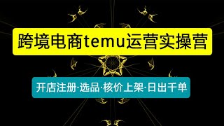 拼多多·跨境temu运营实操营：开店注册·选品·核价上架·日出千单·实战课