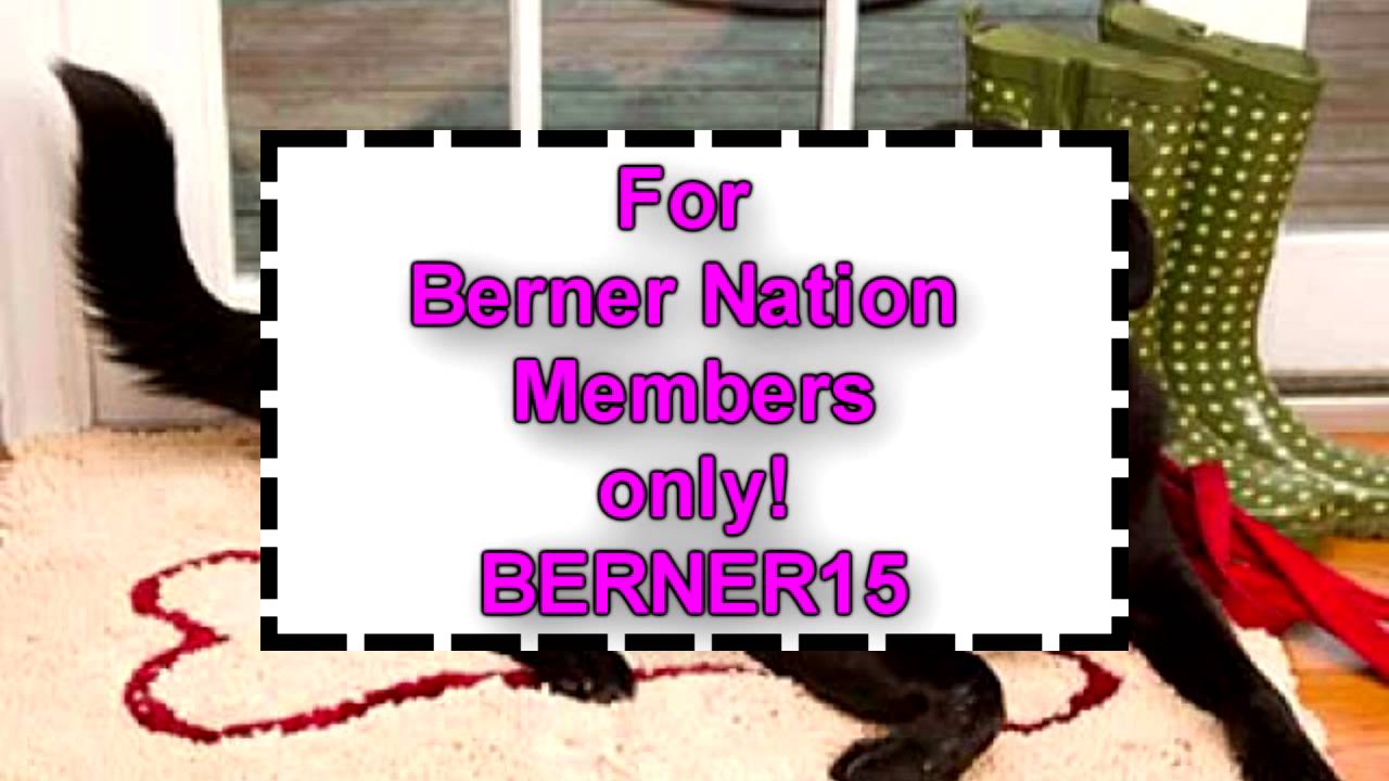 Soggy Doggy 15 percent off announcement