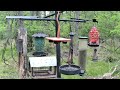 Red fox catches prey near PA Bird Feeder 2 5/22/2026