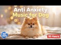 10 Hours Calming Music for Dogs 🐶 Stop Barking, Anxiety Relief &amp; Deep Sleep Dog Music