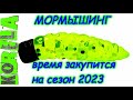 Мормышинг для новичков: время покупать приманки на 2023 год