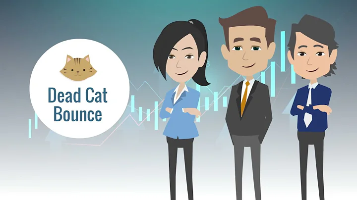 What is the 'Dead Cat Bounce'?