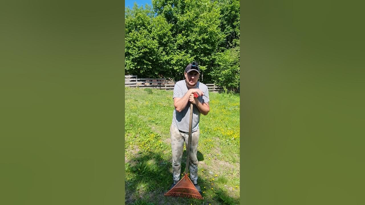 Галинкина деревня. Деревенские каналы на ютубе. Блоггер один в деревне. Один в деревне ютуб последнее. Тимур леманн деревня.