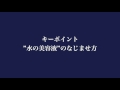 肌をサラリ快適に保つスキンケア法