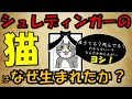 未解決パラドックス　シュレディンガーの猫はなぜ生まれたか？教養ゆっくり解説【量子力学】