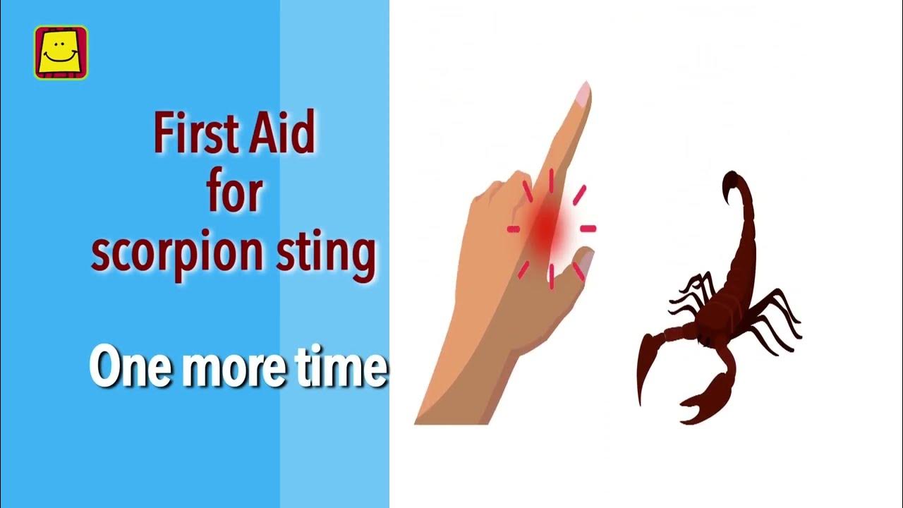 scorpion sting symptoms duration