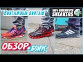 МОИ ВИНТАЖНЫЕ КРОССОВКИ [+БОНУС]  // 3 Пары кроссовок: Adidas Skateboarding, New Balance 1080v4