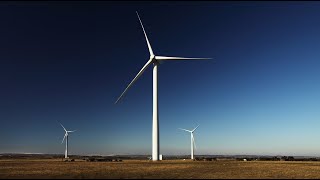 11 Amazing Facts About Wind Energy