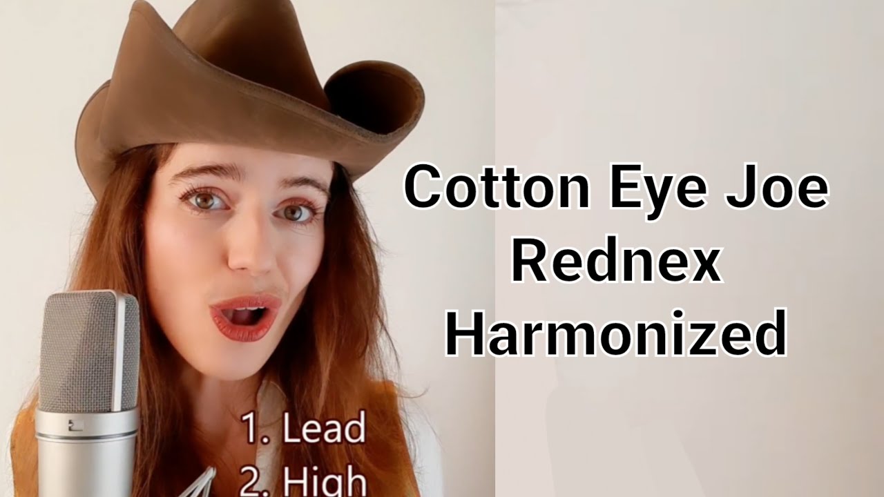 Meaning of Cotton Eye Joe Song By Rednex - Music Grotto