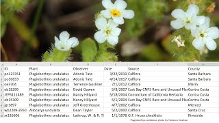 Download / export observations from Calflora