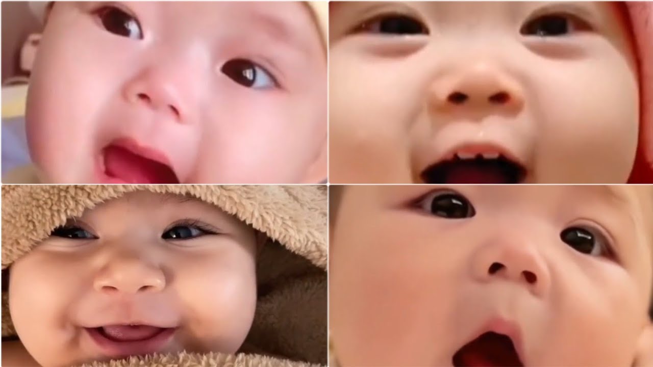 Cute and funny baby laughing videos cute baby funniest YouTube