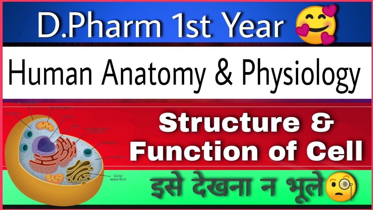 d pharm 1st year human anatomy and physiology !! #cell_structure_and ...