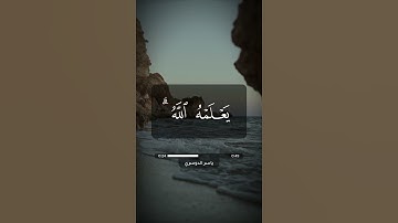 آية عن الحج | قرآن كريم | ياسر الدوسري | سورة البقرة آية 197
