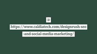 DesignRush SEO and Social Media Marketing