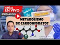 Bioquímica. Metabolismo de Carbohidratos (Paso a paso)