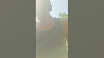 Harvesting cassava part 794 #shorts #farming #cassava #nature  #cassavaroots #cassavafarming