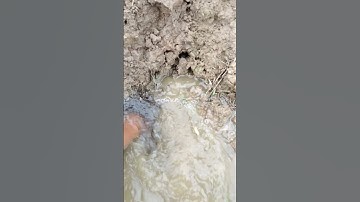 Remove Mud Clogged Drain #unclog #satisfying #youtubeshorts