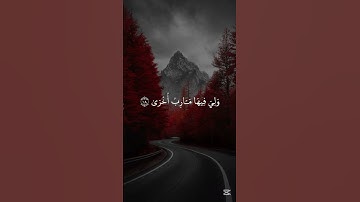 قرآن كريم بصوت جميل للقارئ محمد أيوب #قرآن_كريم #quran #محمد_ايوب