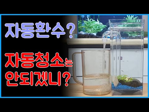 자동환수 어항 청소 - 자동환수? 자동청소는 안되겠니?? 자동환수 미니 어항 청소 방법 - 구피 치어 키우기 미니어항 / mini aquarrium set up