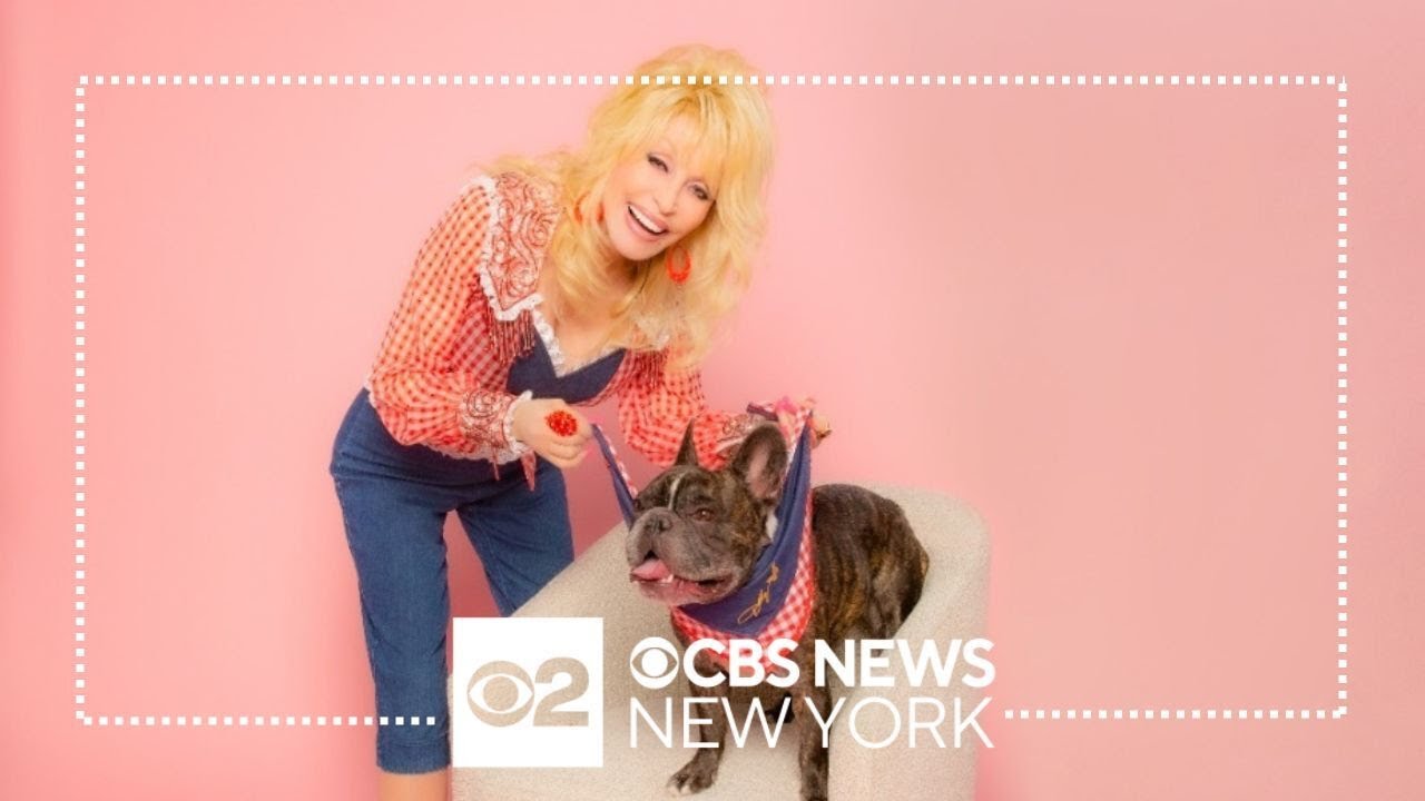 "Dolly Parton's Pet Gala" airs Wednesday night, Feb. 21 on CBS and ...