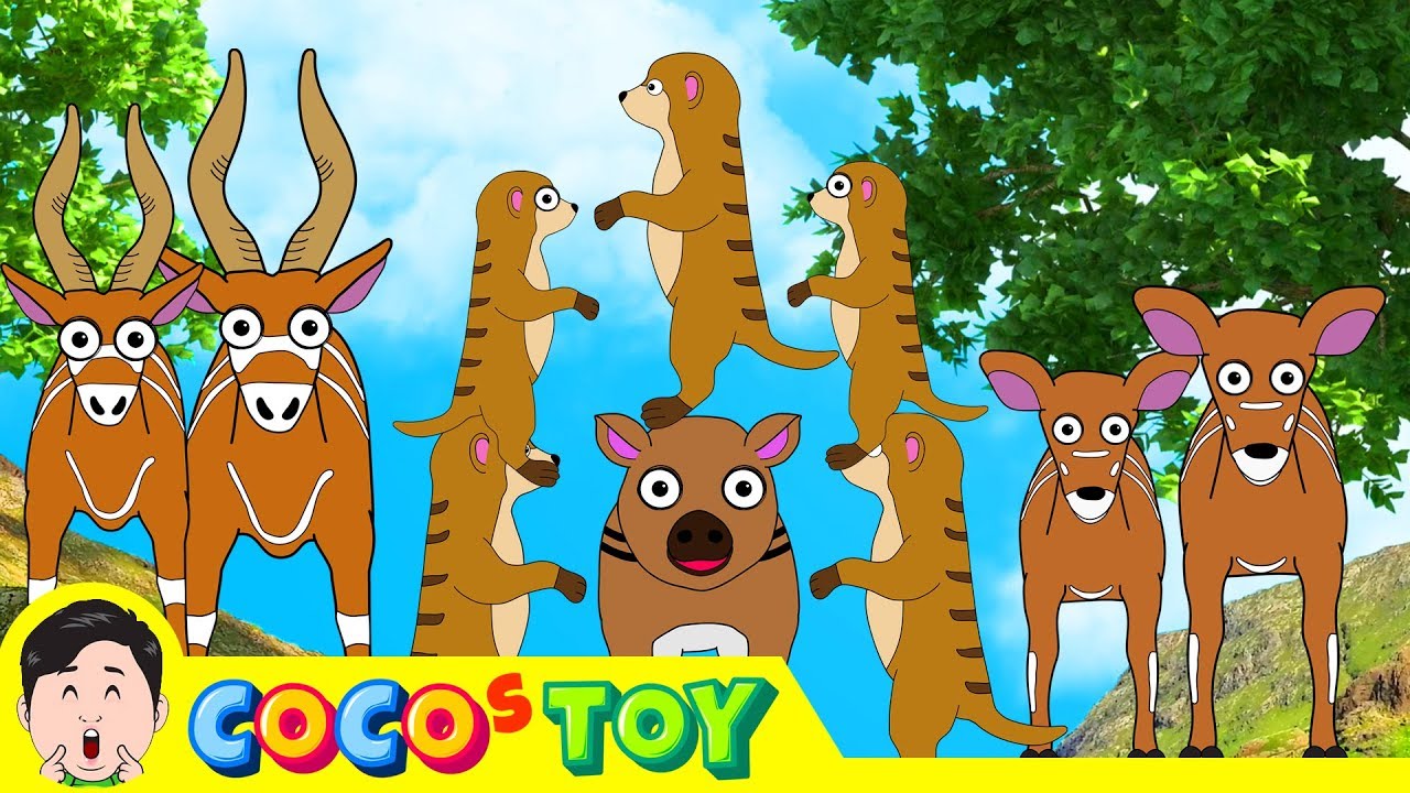 ⁣The Bongo family was brave. 1~2ㅣcartoon version, animals stories for kidsㅣCoCosToy