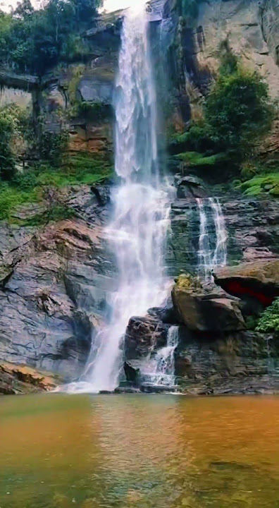 malai annai tharuhinra thaai paal pol  what's app status 💞💞💞💞💞💞💞