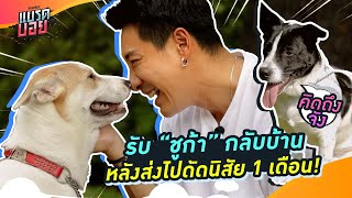 พา “โอริโอ้” รับ “ชูก้า” กลับบ้าน หลังจากเข้าโรงเรียนดัดนิสัย 1 เดือน | Bradboy