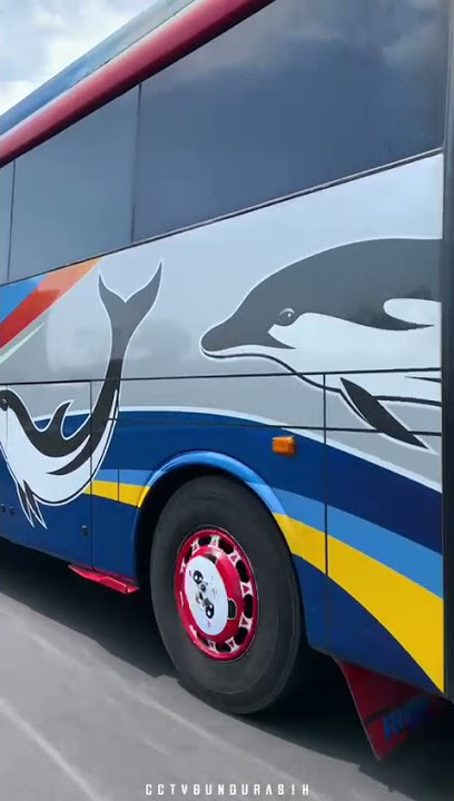 W7197UP SARDOT TEAM#W7197UP #SARDOT TEAM #SUMBER SELAMAT #sugengrahayu #sugengrahayu