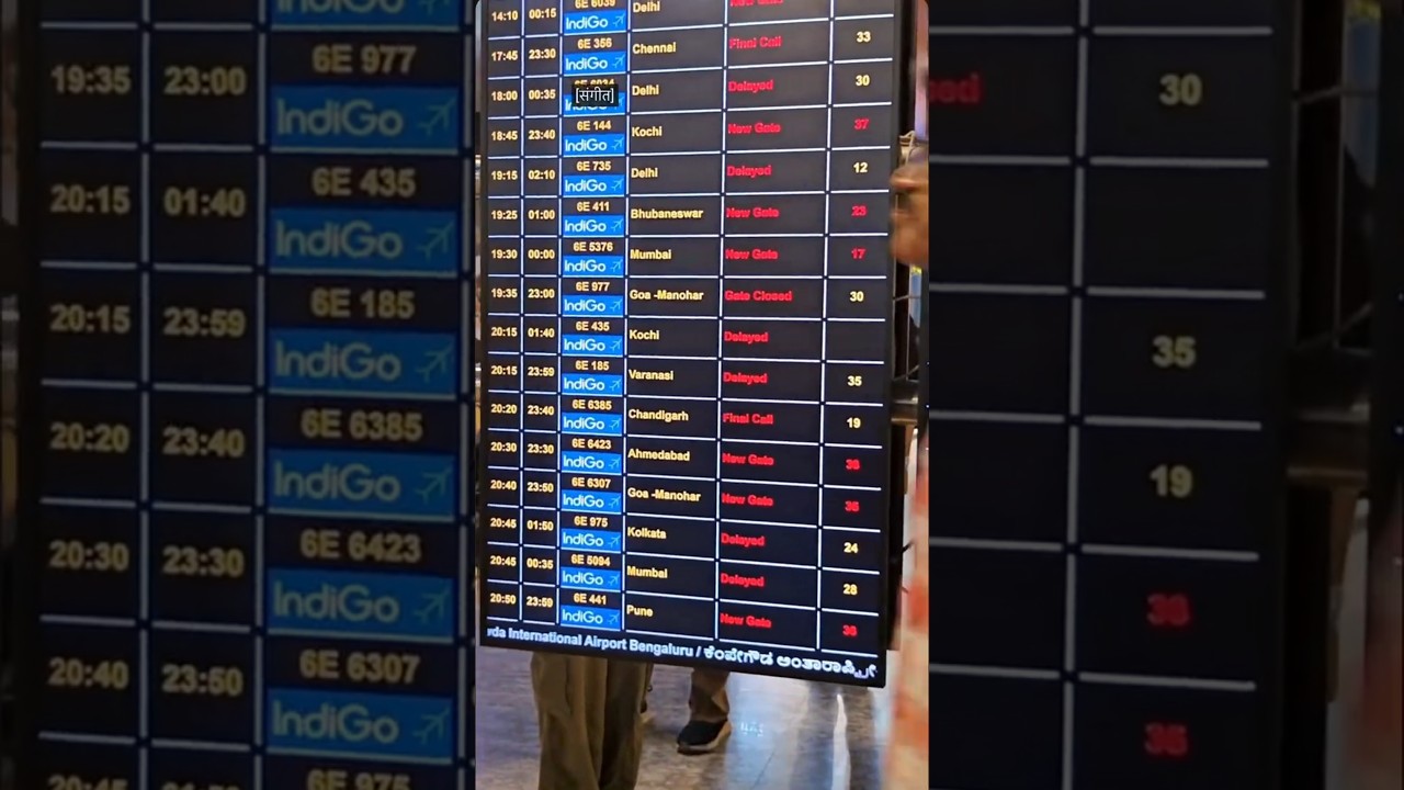 Indigo Flights status 