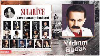 Yıldırım Budak - Mehek Memet (U.H.) - Sularice/Davut Sulari Türküleri - Arda Müzik 2019 Resimi