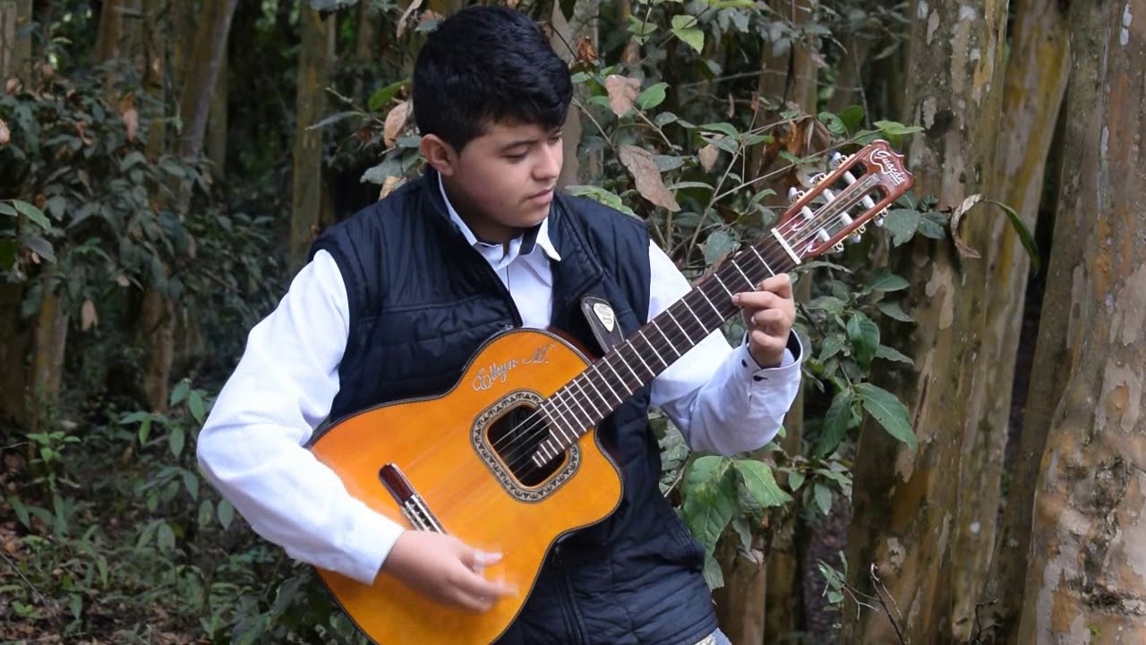 PASILLO:TE VI PARTIR