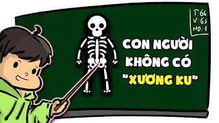 Những Sự Thật Vô Dụng Bạn Không Cần Biết