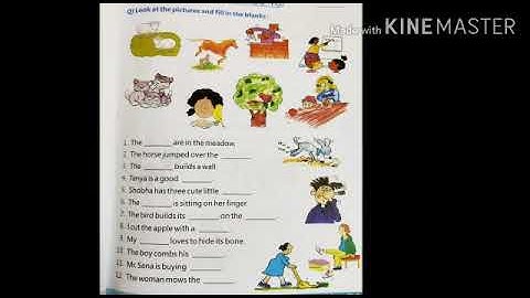Nouns revision part 2 by Rubab Rizvi