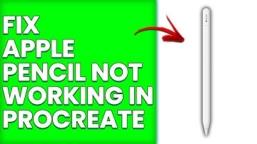 How To Fix Apple Pencil Not Working In Procreate (Easy Solutions You Can Try To Solve It)