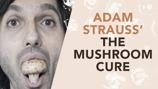 Adam Strauss Describes Using Magic Mushrooms for OCD