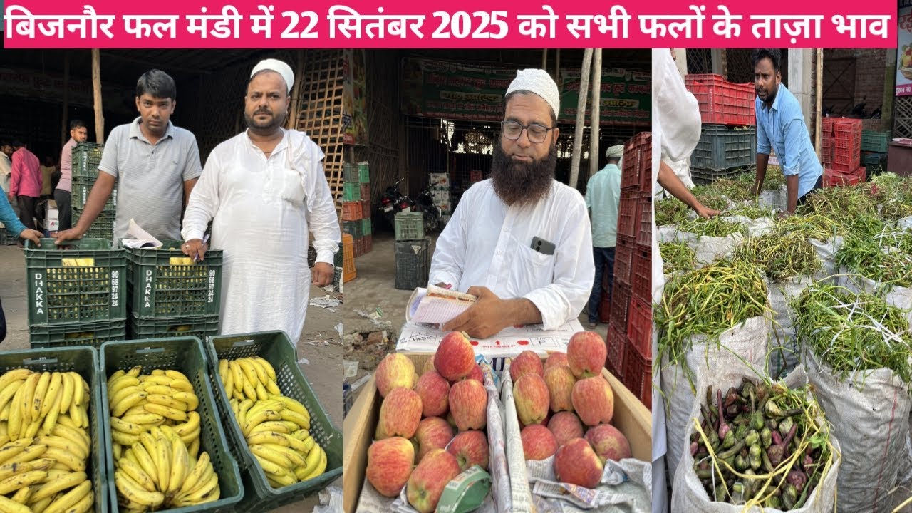 बिजनौर फल मंडी मैं 22 सितंबर 2025 को सभी फलों के ताज़ा भाव || ALL FRUITS PRICE TODAY BIJNOR MARKET
