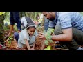 Building Green Highways | Ek Ped Maa ke Naam Initiative | Swachhata Hi Seva 2024