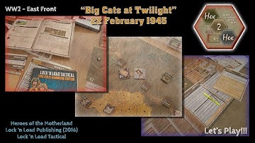 Big Cats at Twilight (LnLT) 4k