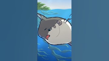 Ocean Sunfish 🌕🐡 #animation #original #cartoon