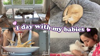 Vlog 1 day w my pets 1 วันกับลูกๆของไอติม คลิปนี้ยาวสะใจ มาอยู่ด้วยกันค้าบบมา | Itim’s life
