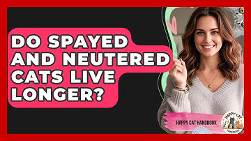 Do Spayed And Neutered Cats Live Longer? - Happy Cat Handbook