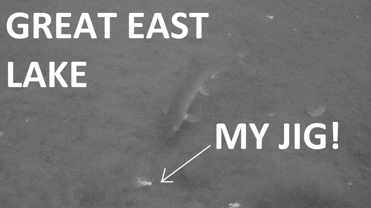 Ice Fishing Great East Lake Underwater Footage of Aggressive Lake Trout