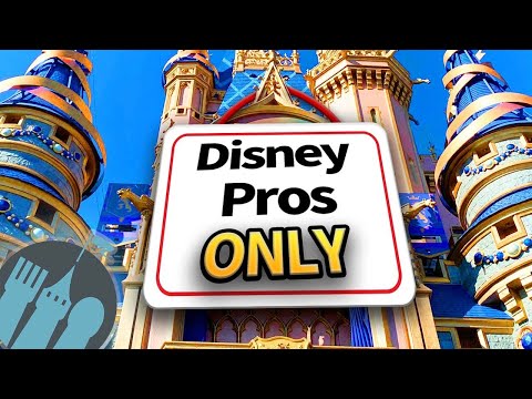 Video: Percutian Keluarga Epic Yang Menjadikan Disney World Kelihatan Lemah