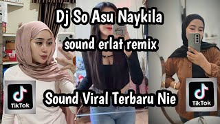 Download Lagu DJ SO ASU NAYKILLA REMIX || DJ SO ASU NAYKILLA ELART REMIX VIRAL TIKTOK TERBARU  YANG KALIAN CARI MP3
