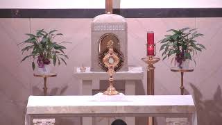 Eucharistic Adoration 12/11/2020