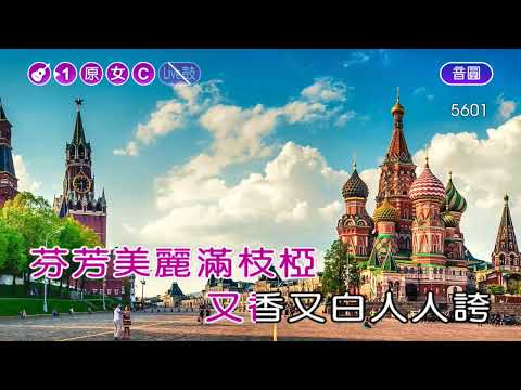 茉莉花~鳳飛飛~女C調~伴奏~導唱甲