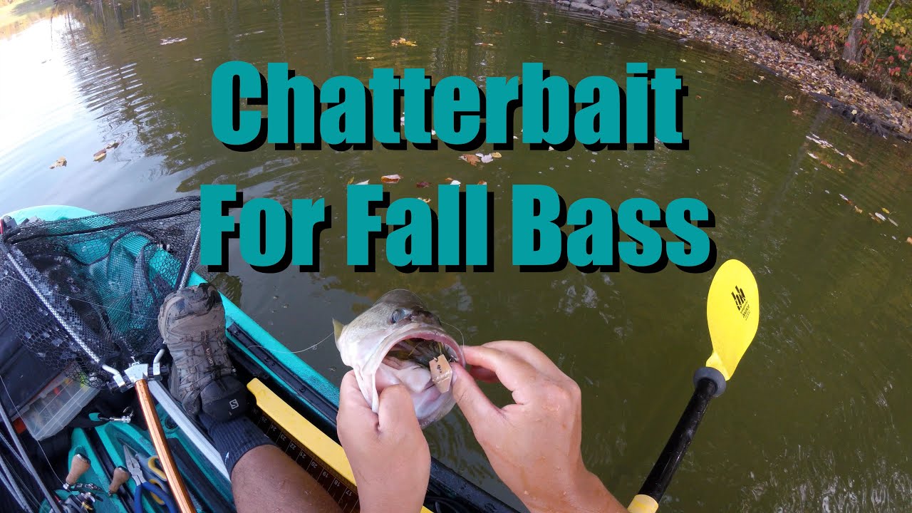 Chatterbait For Fall Bass (Kayak Fishing)
