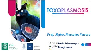 TOXOPLASMOSIS. Parte-2