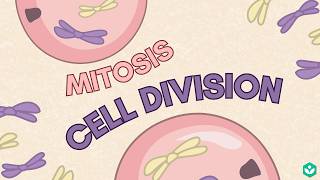Cell Cycle - Mitosis | Reproduction | Class 10 | Biology | Telangana | Khan Academy